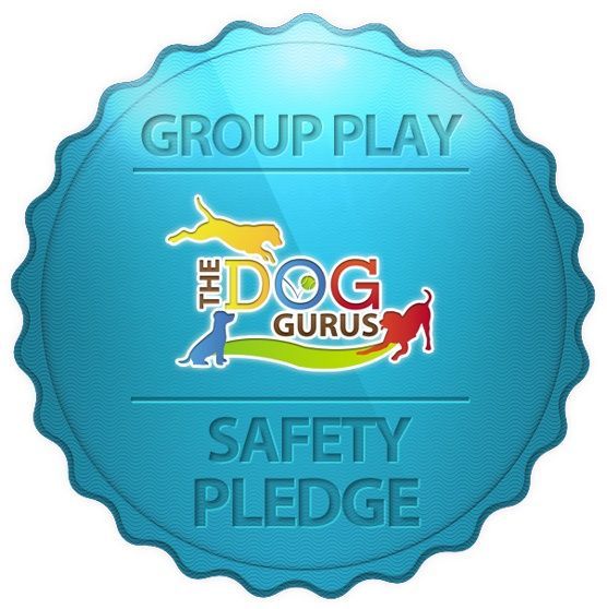 Badge for