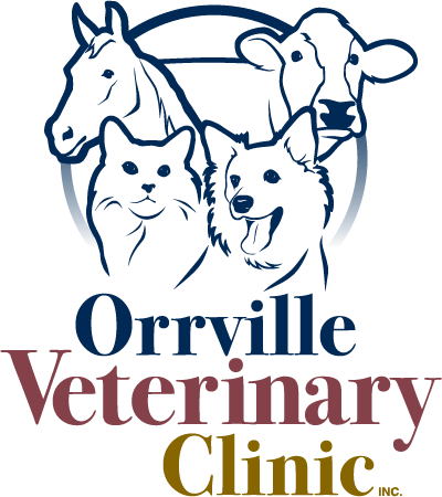 Logo for Orrville Veterinary Clinic featuring outlines of a horse, cow, cat, and dog above the clinic's name.