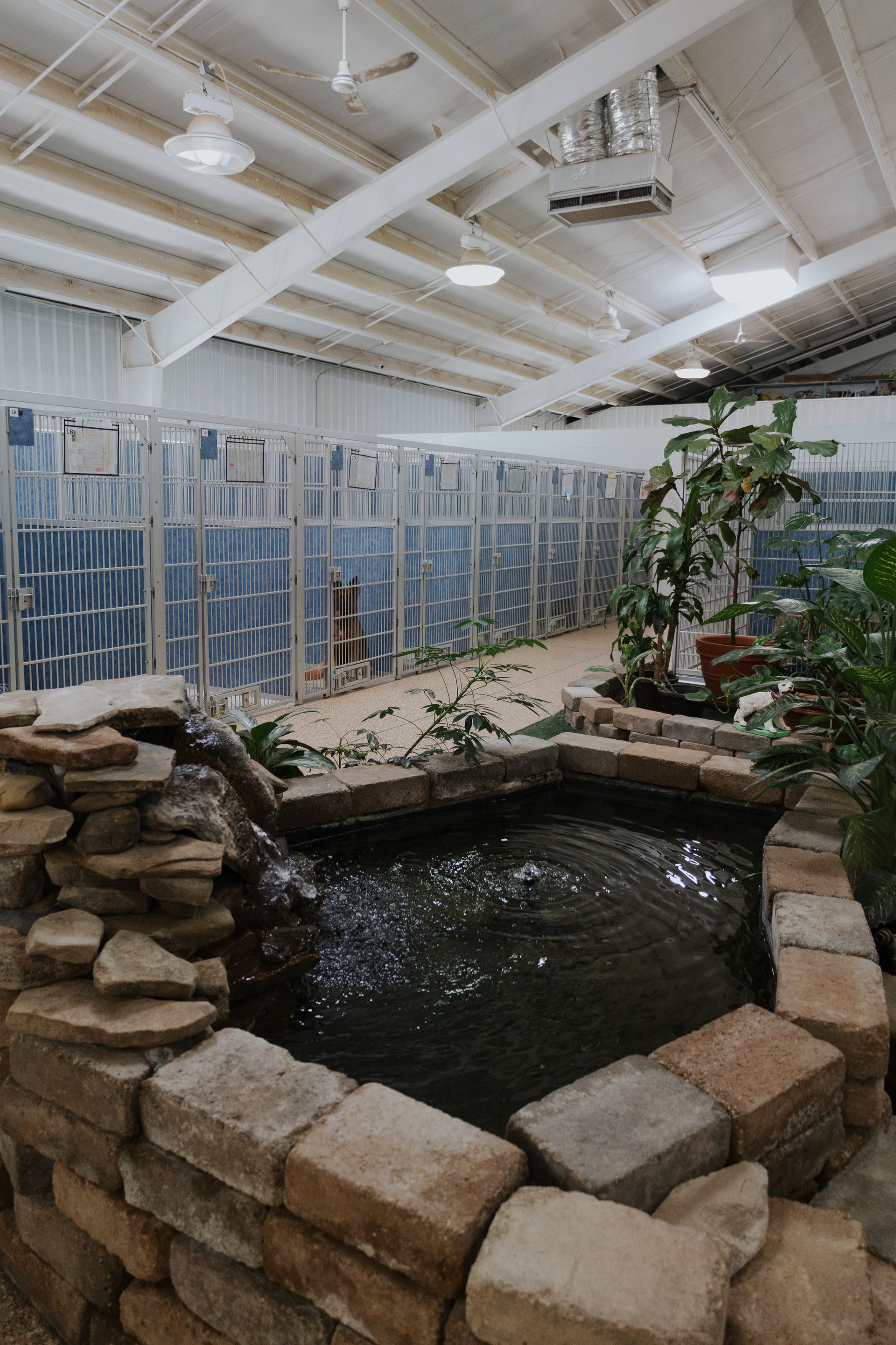 Indoor habitat with a water feature in the foreground and glass enclosures in the background. The space has high ceilings and appears to house plants.