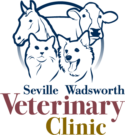 Logo for Seville Wadsworth Veterinary Clinic: features a horse, cow, cat, and dog with text.