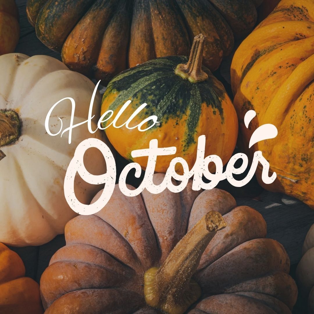 "Hello October" text overlayed on a background of various pumpkins in shades of orange, yellow, and white.