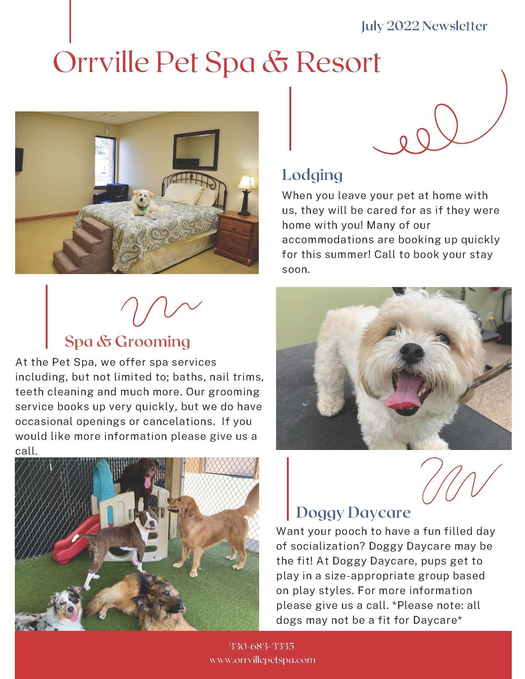 Newsletter for Orrville Pet Spa & Resort showing photos of the facilities and dogs enjoying the services, with text describing offerings.