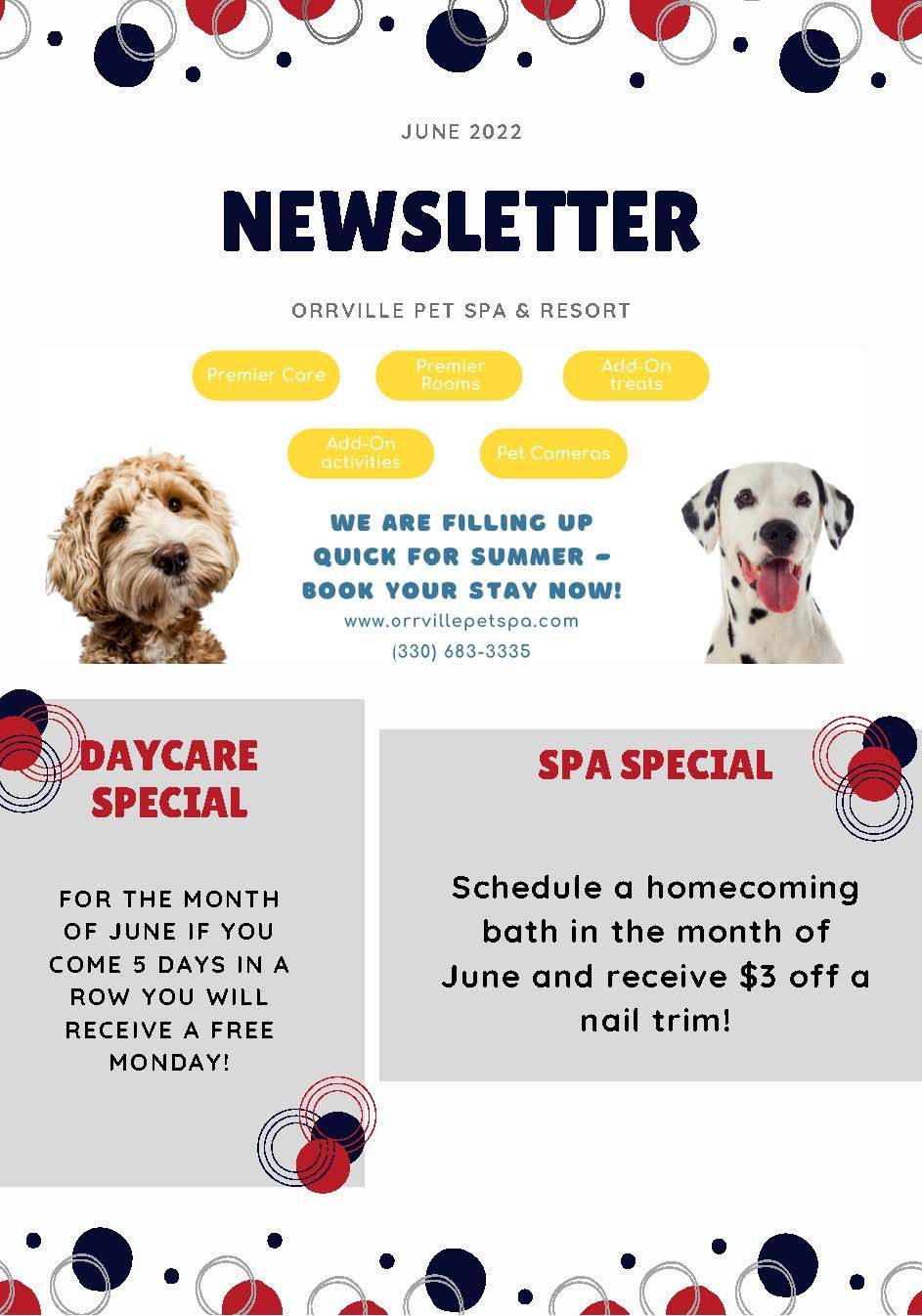 Newsletter with dog daycare and spa specials. Contains photos of dogs, and red, white, and blue graphics.