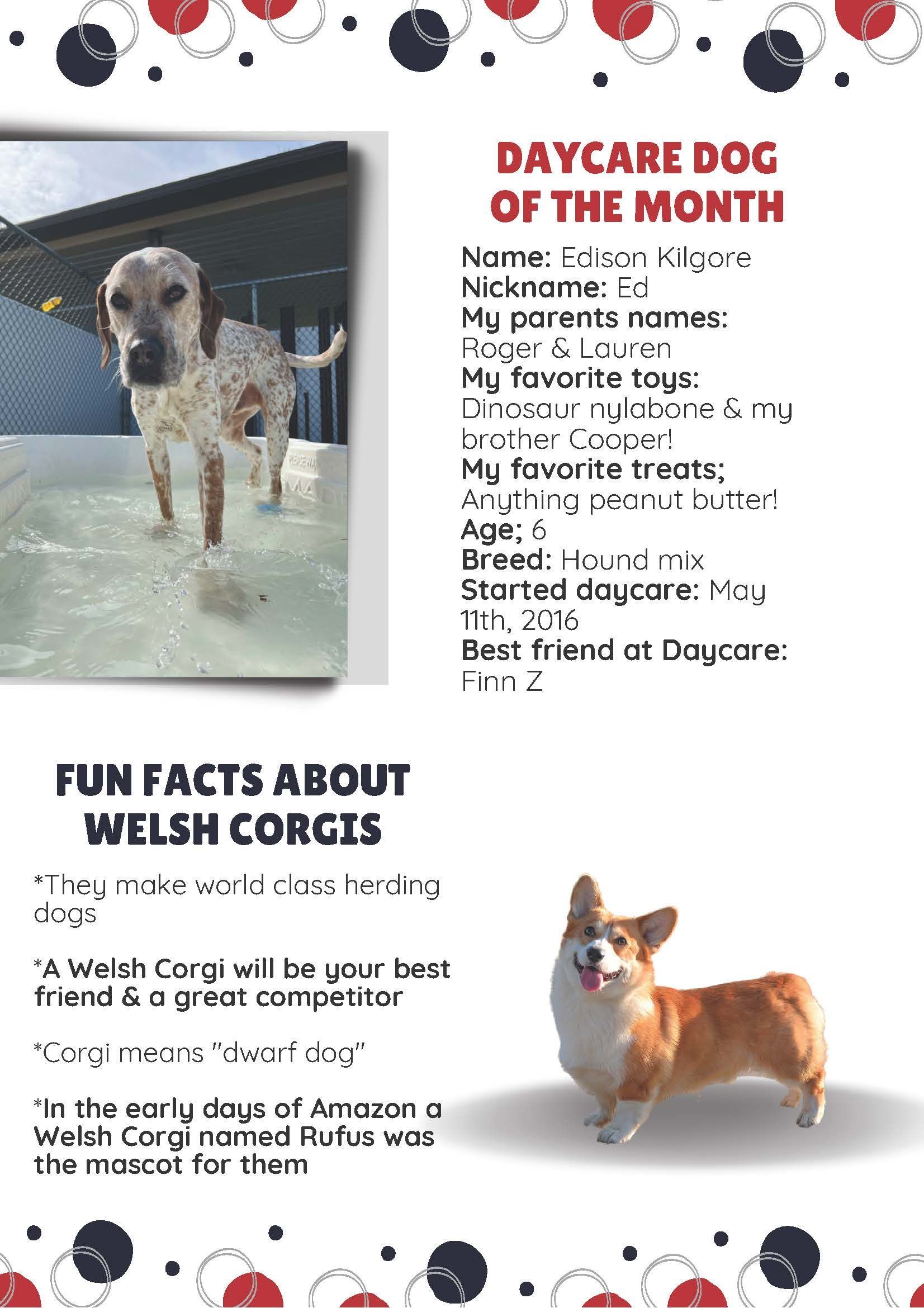 june%202022%20newsletter_Page_2.jpg