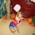 Dog in a cheerleader outfit sits near pumpkins. The setting appears to be inside, with a festive decoration.
