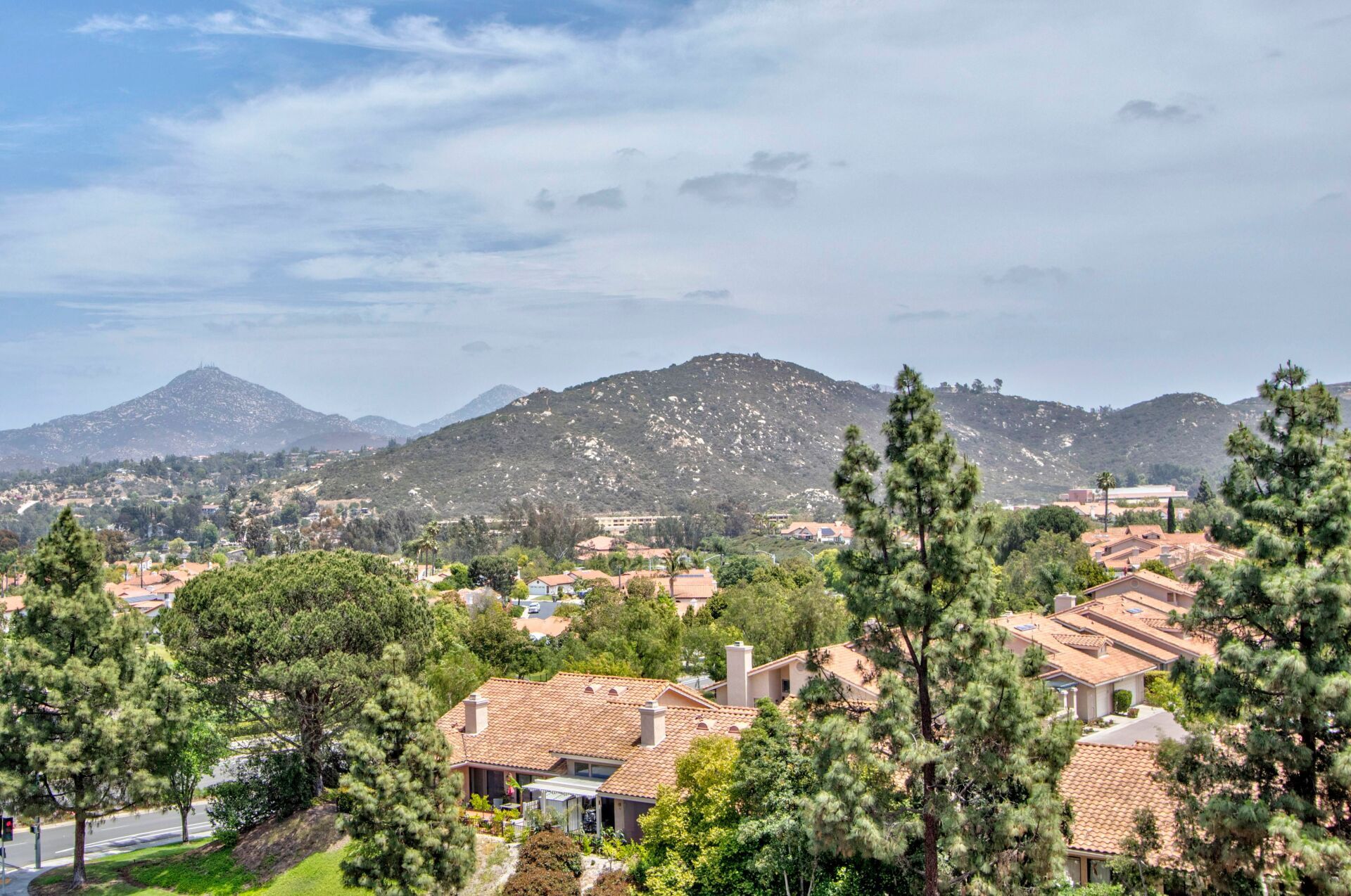 Bernardo Greens view