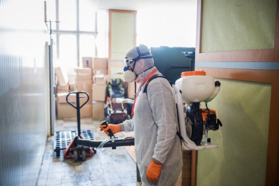 working safely with solvents