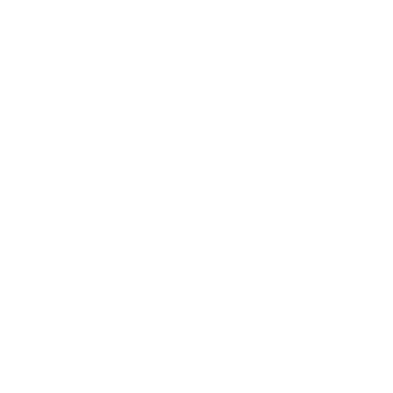 A red and white logo for rise realty