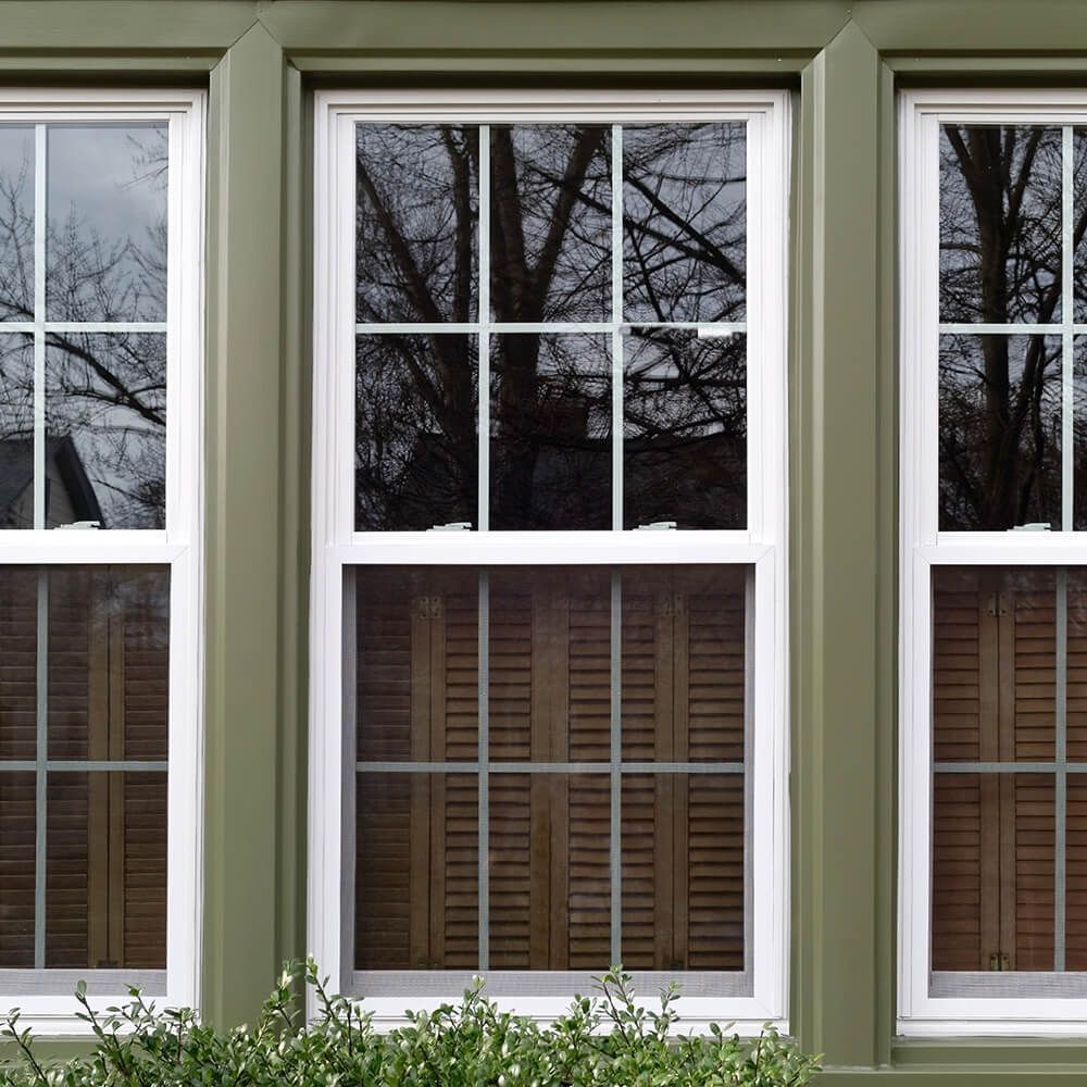 Three green-framed, white-trimmed windows with a tree reflected in the glass. Wooden blinds are visible at the bottom.