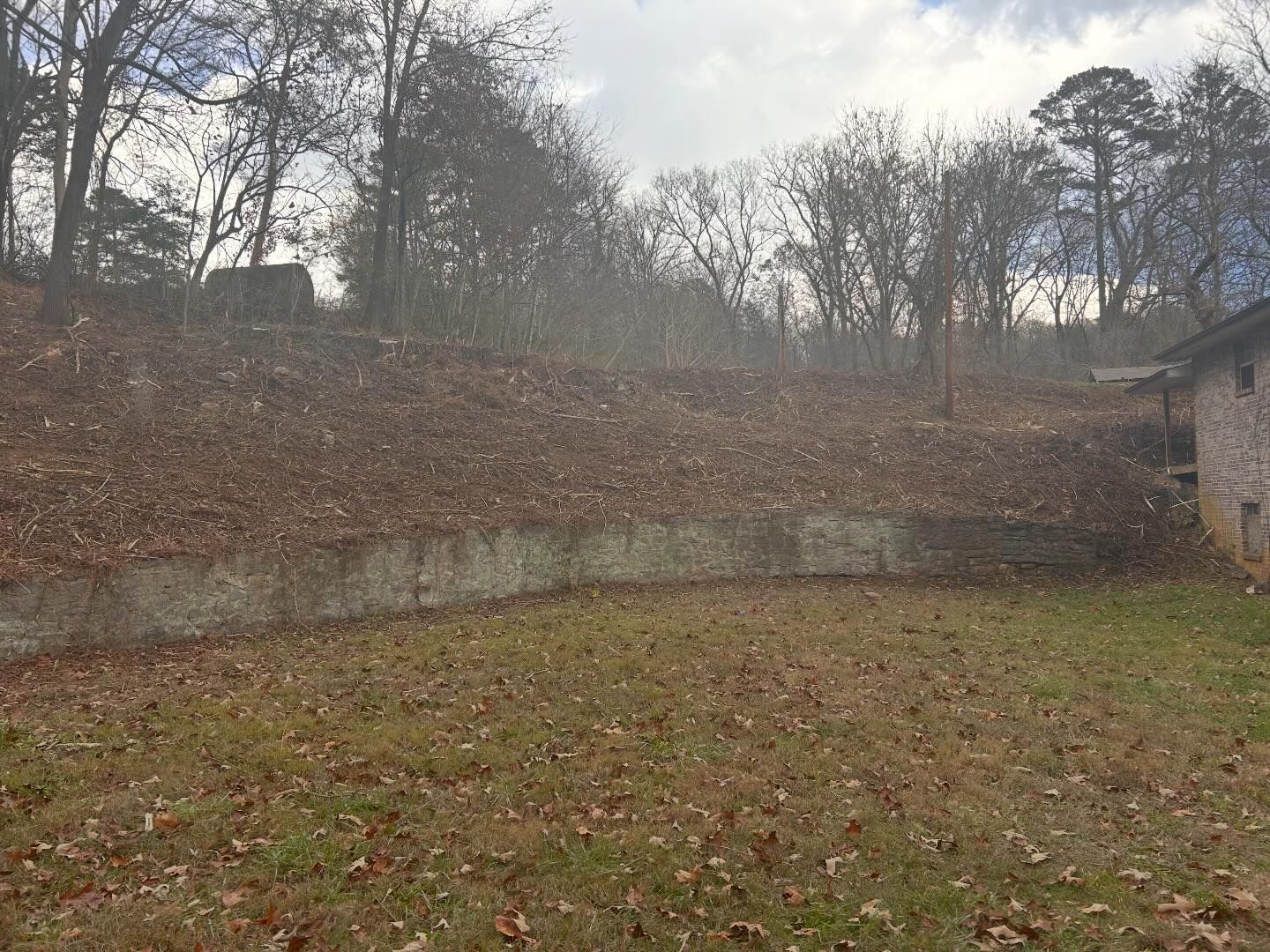 A grassy yard with a retaining wall leading to a hill covered in fallen leaves, and bare trees under a cloudy sky.