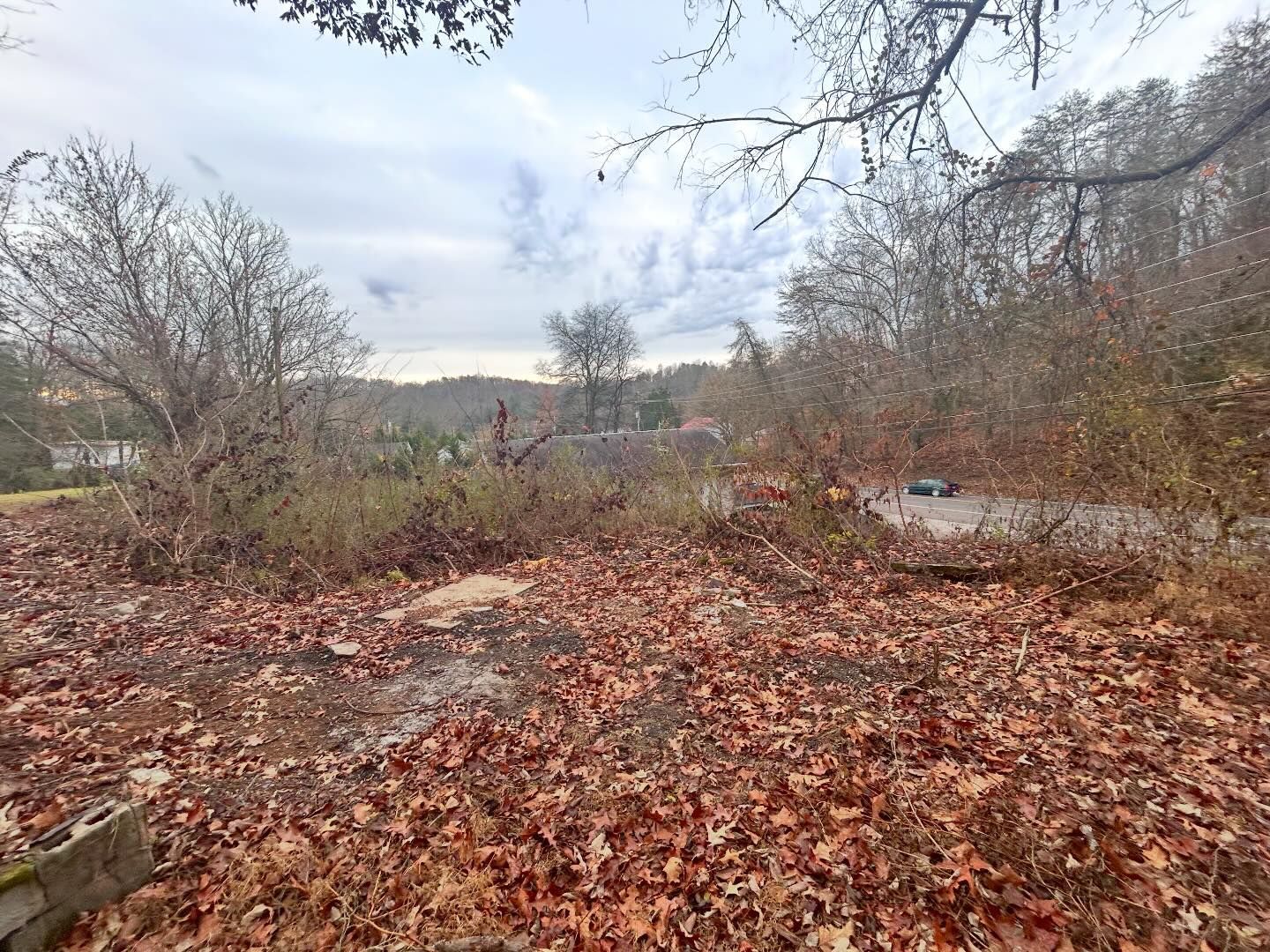 Overcast day, fallen leaves on ground. Trees and bushes frame a distant view of buildings and sky.