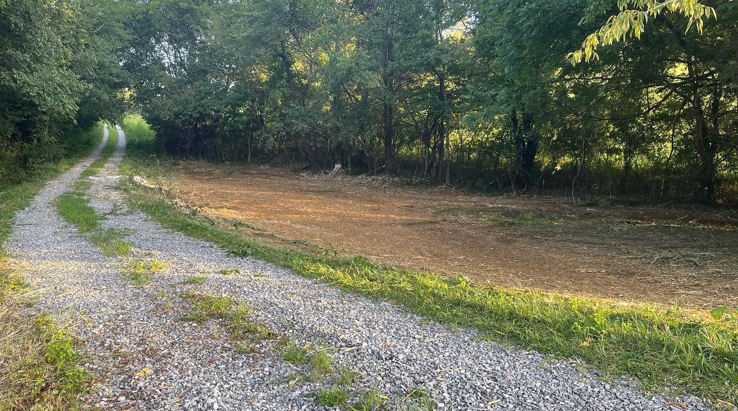 Gravel path curves through a field, bordered by trees on either side. Sunlight illuminates the scene.