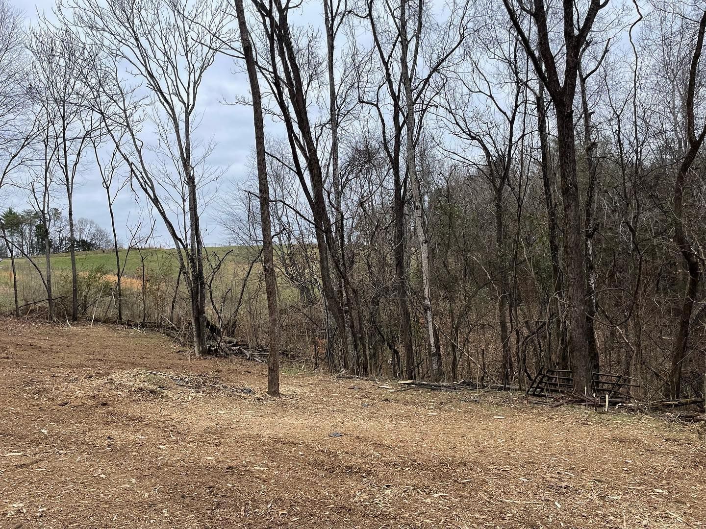 Brown, barren field with trees on a hillside. Overcast sky.