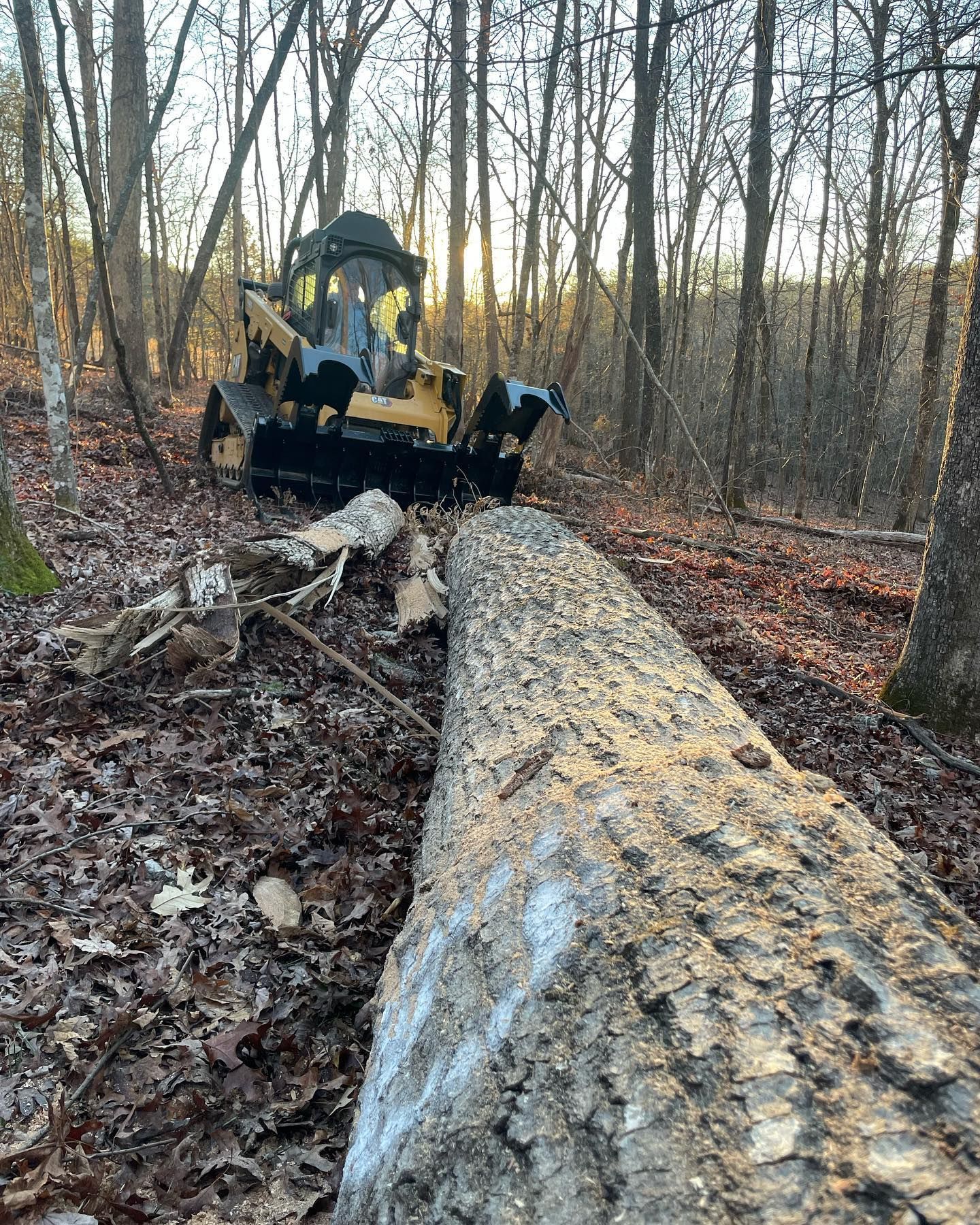 A yellow skid steer tractor pushes a fallen tree trunk in a wooded area; golden sunlight peeks through trees.