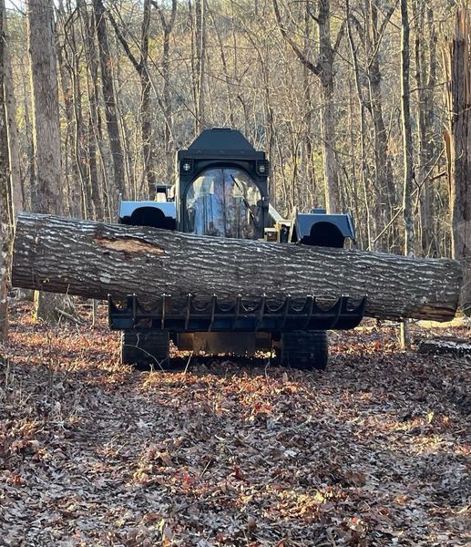 Forestry machine holding a large log, forest setting.
