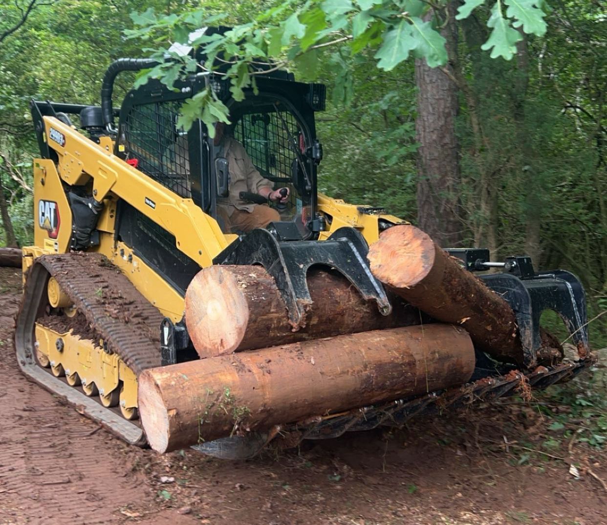 Yellow skid steer tractor holding logs in a wooded area.