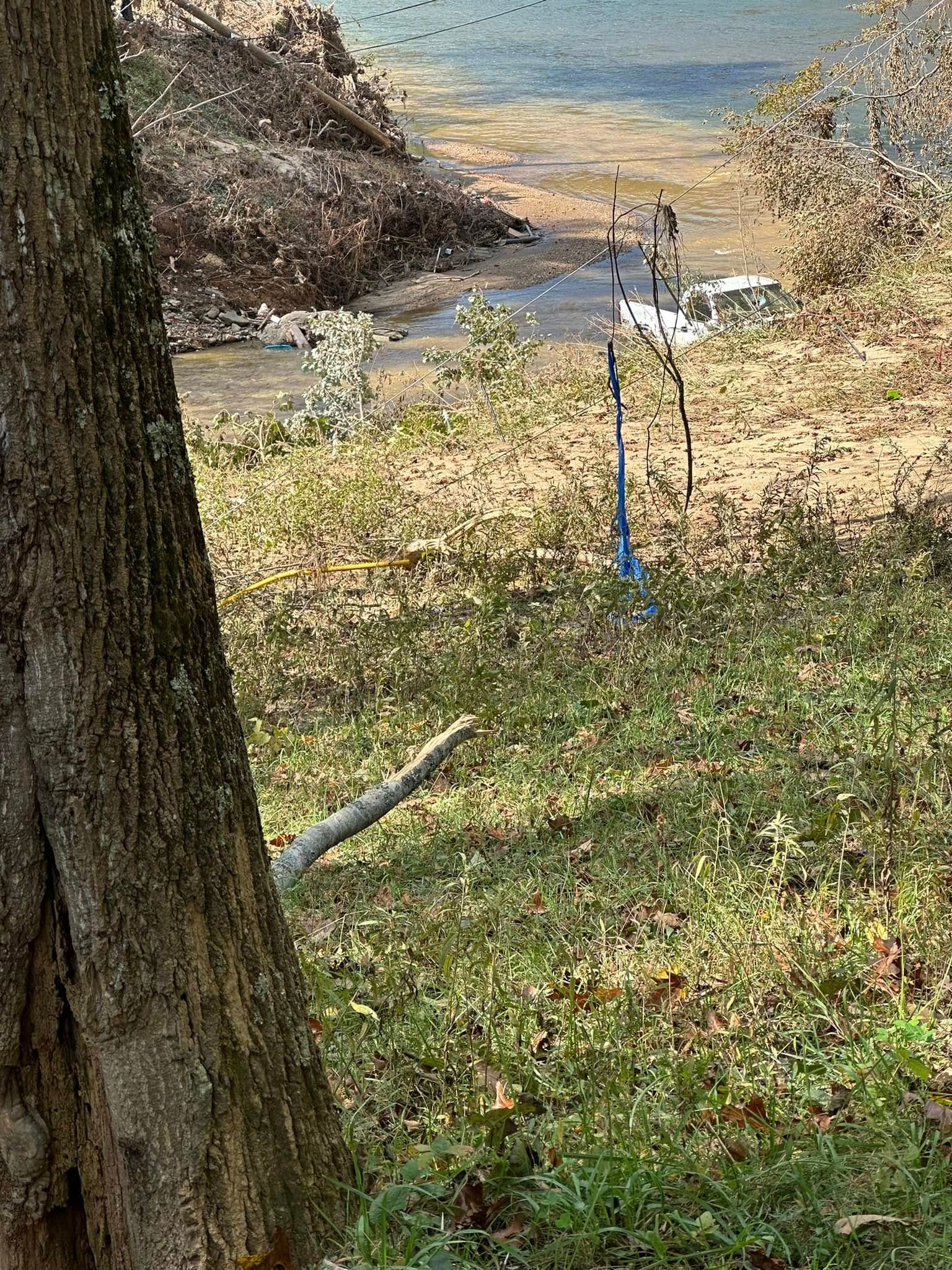 A forest scene with a tree trunk in the foreground, a stream, and tall grass in the sunlight.