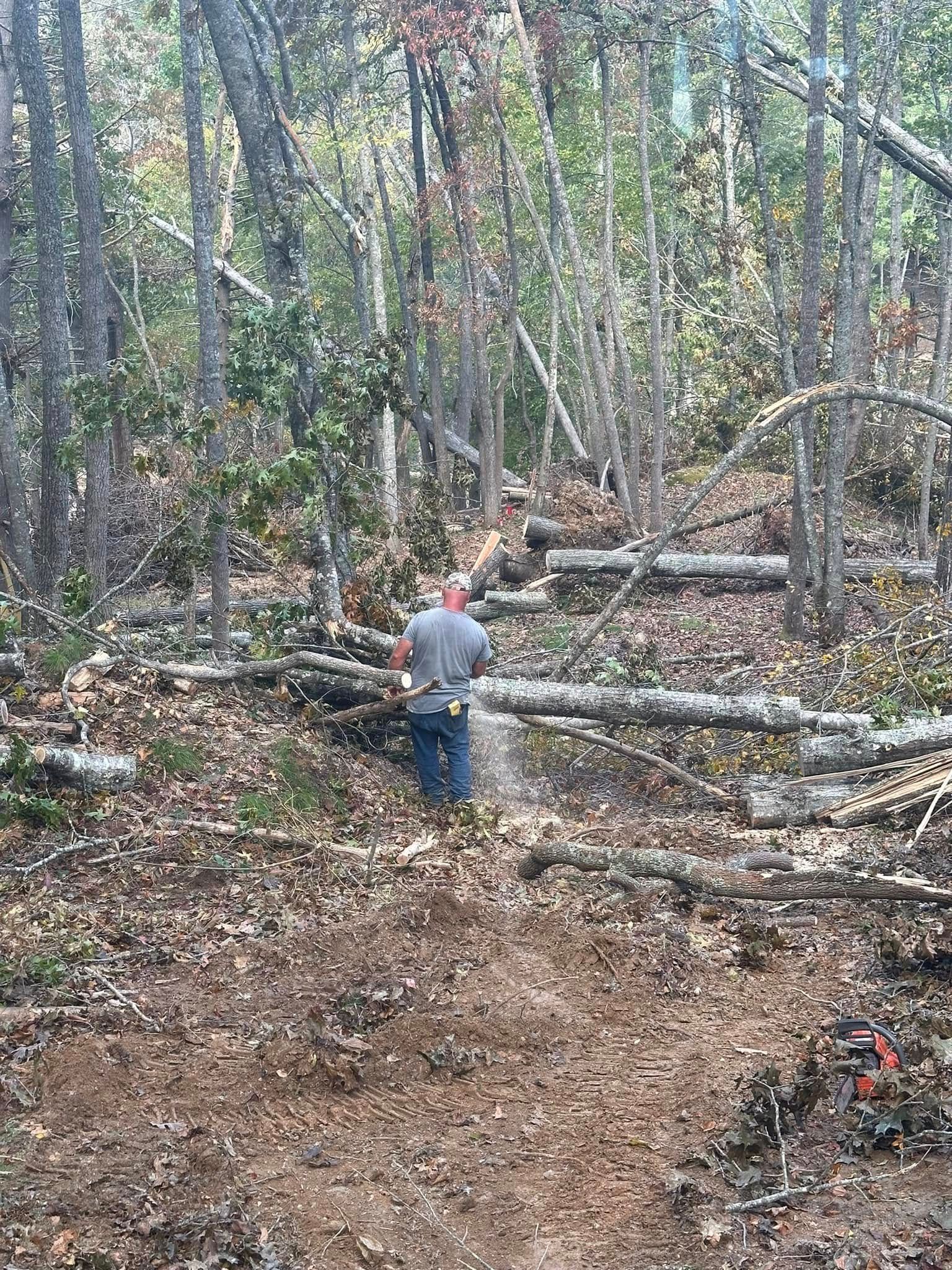 Man in gray shirt clearing a wooded trail, stepping over logs.