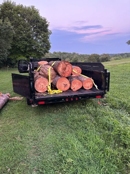 A pickup truck bed filled with cut logs, secured by straps, parked on a grassy field.