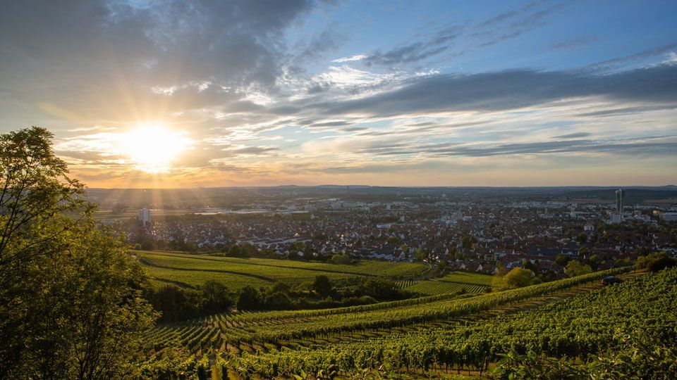 Anwalt für Familienrecht in Fellbach