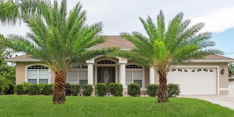 A house with two palm trees in front of it
