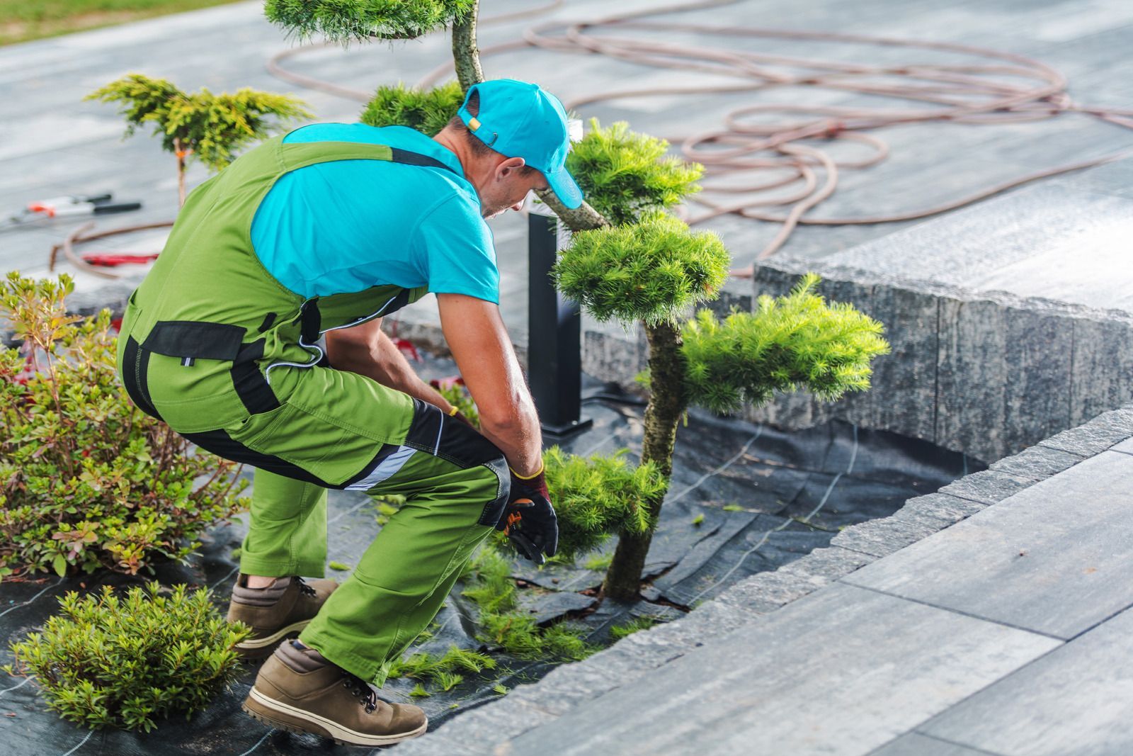 Gardener in green workwear planting shrubs near a stone wall.
