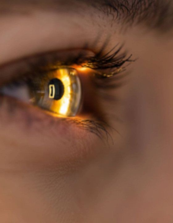Occhio illuminato: retina e macula