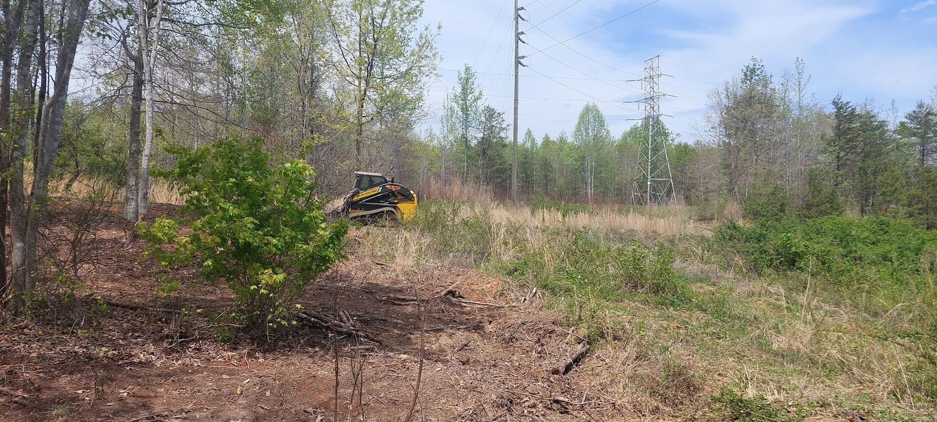 A yellow bulldozer clearing a field of brush and small trees, near power lines and trees.