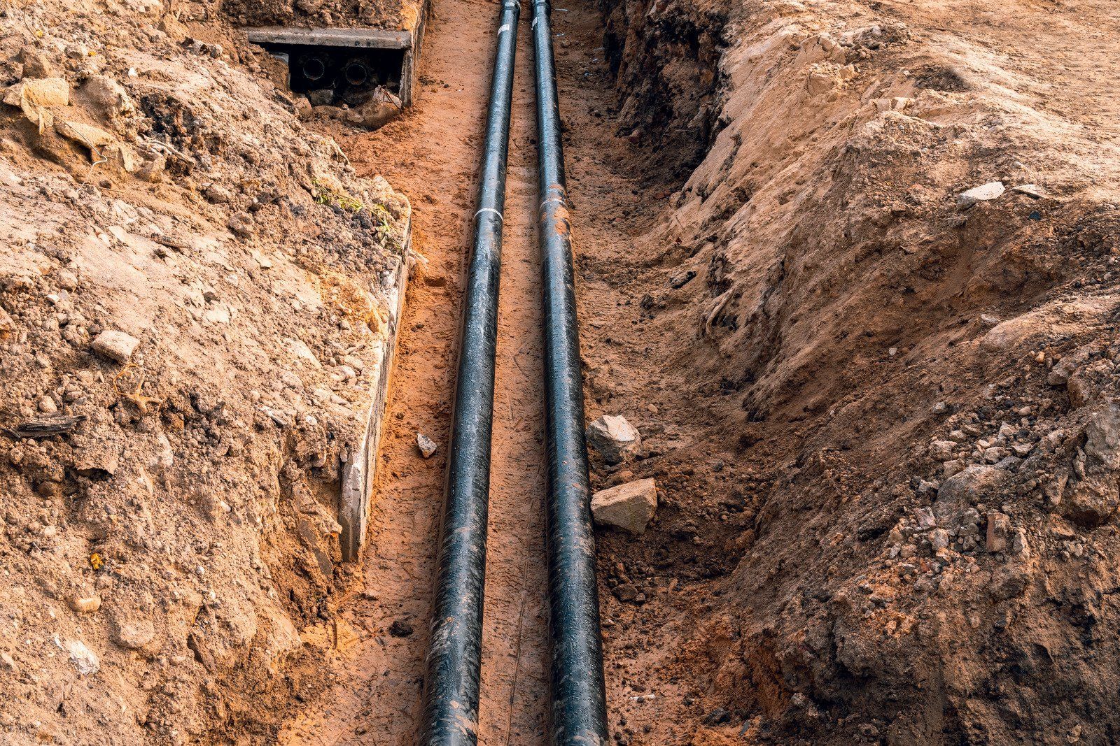 Blue hose and white pipe extend across a dry lawn to a septic tank, near a house.