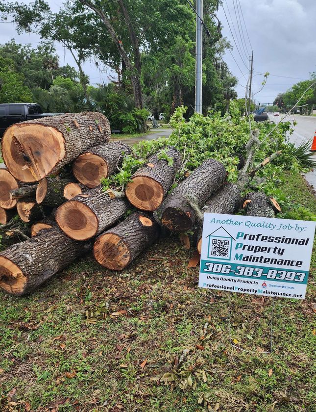 Stacked tree logs beside a roadside sign in a grassy area under cloudy skies