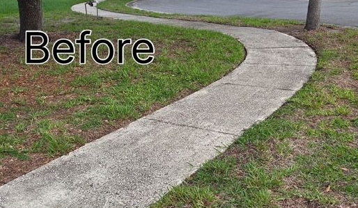 A before picture of a house with a palm tree in front of it.