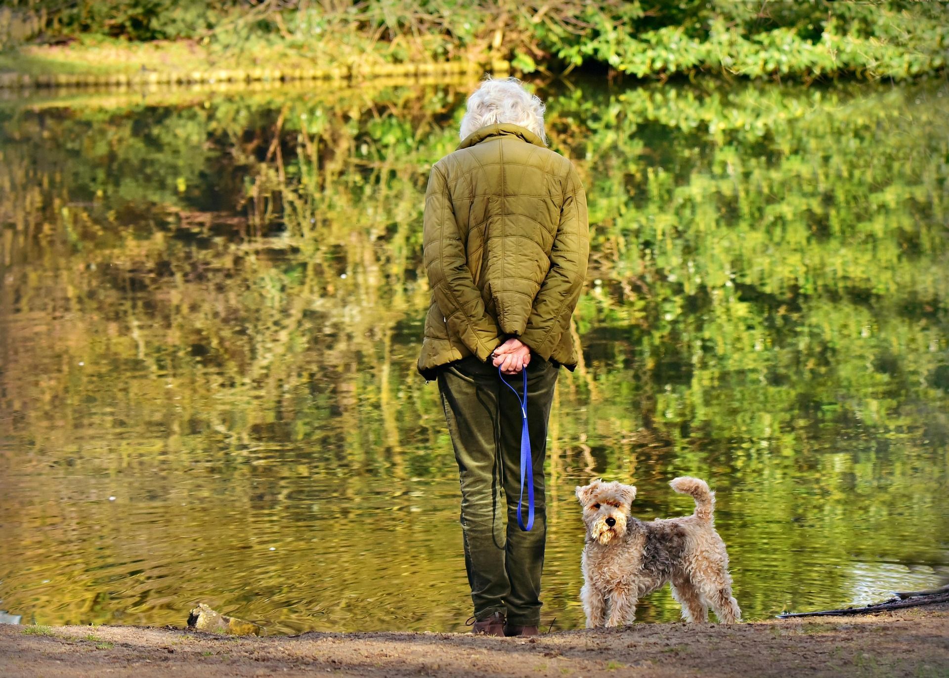 An elderly woman is walking her dog by a lake.