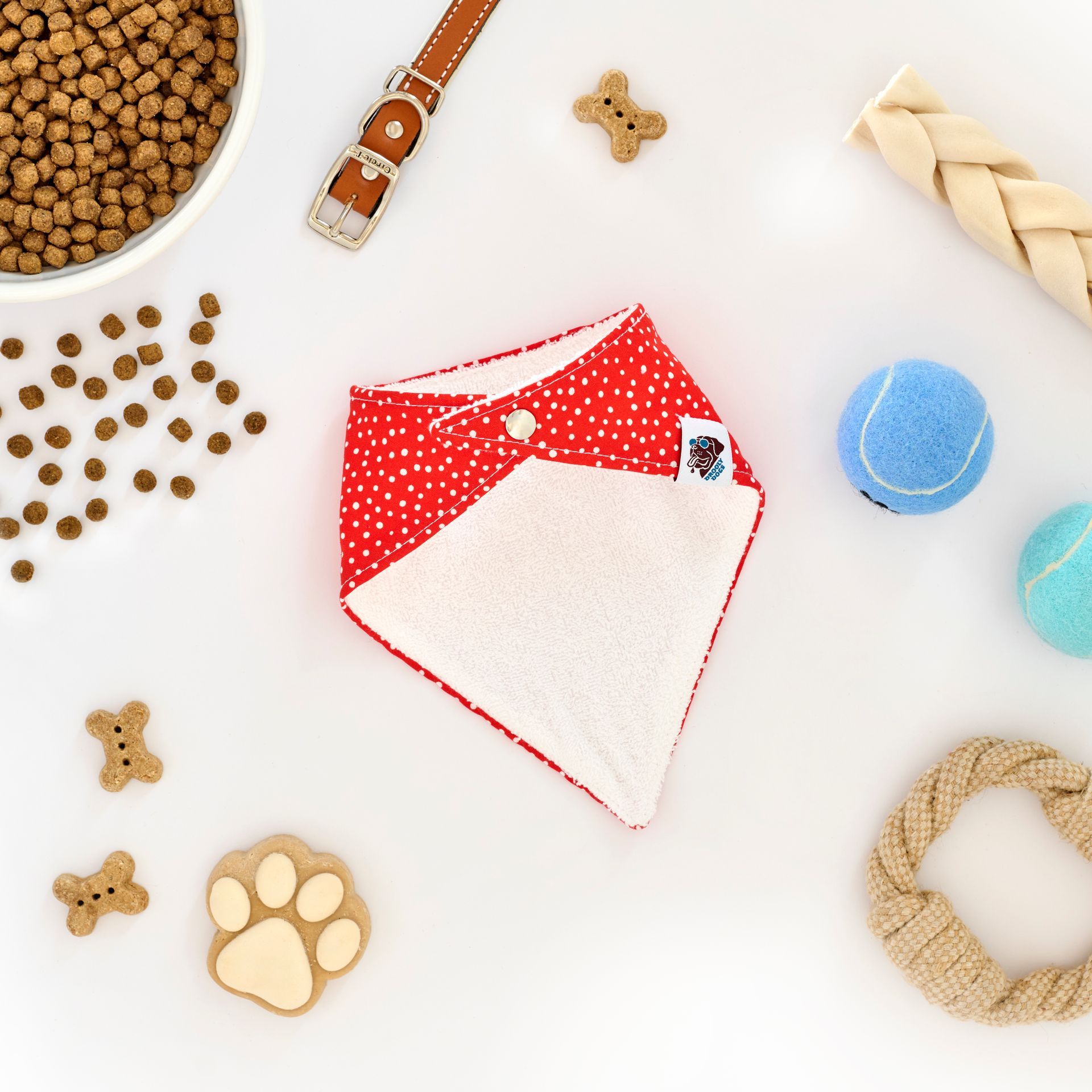 Dog bandana with toys, food, and collar on white background.