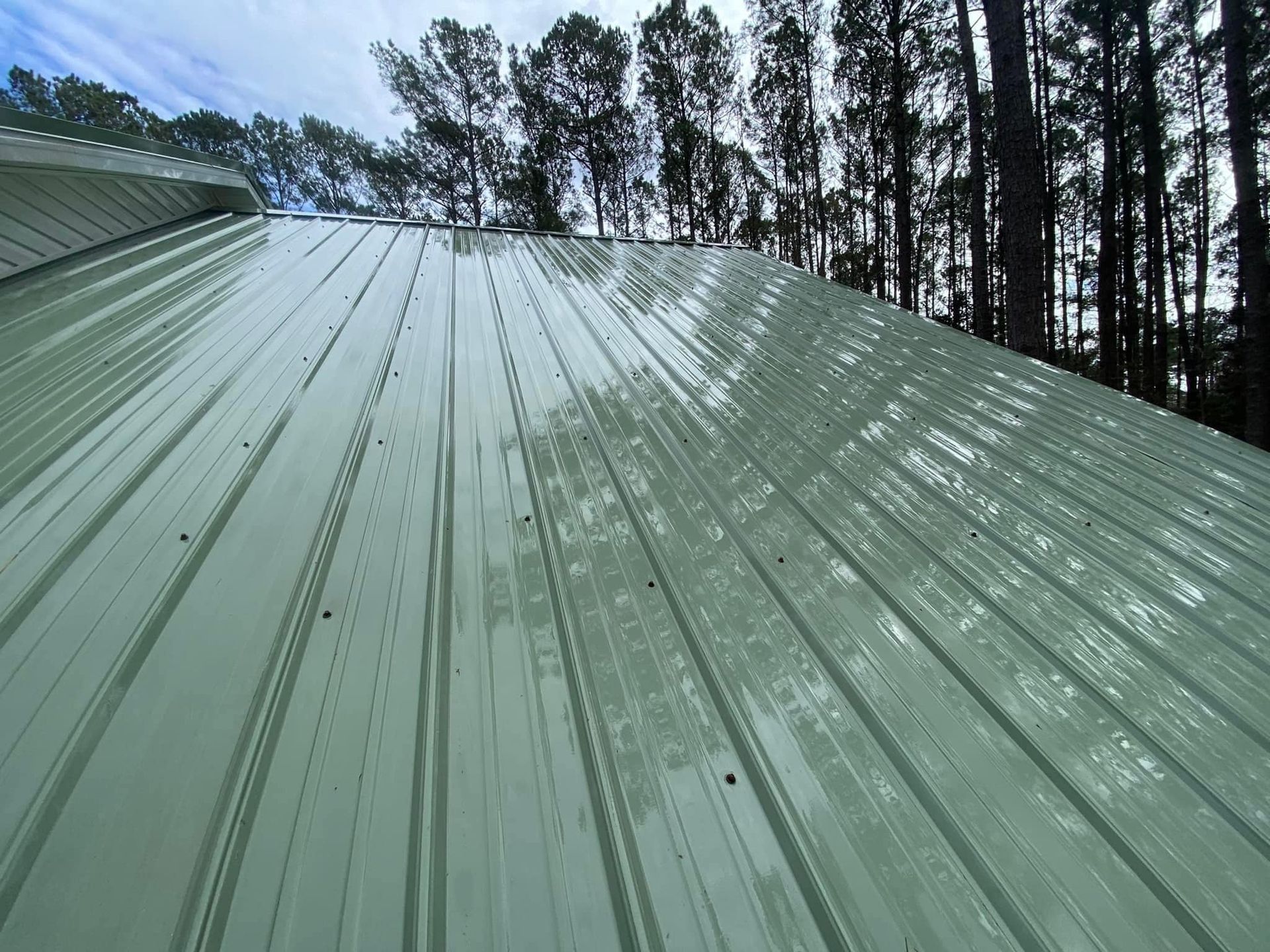 Clean Roof | Savannah, GA | Reed Home Services