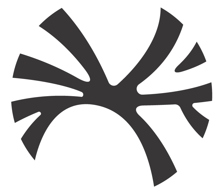 Black abstract fan-like logo with curved spokes on a white background
