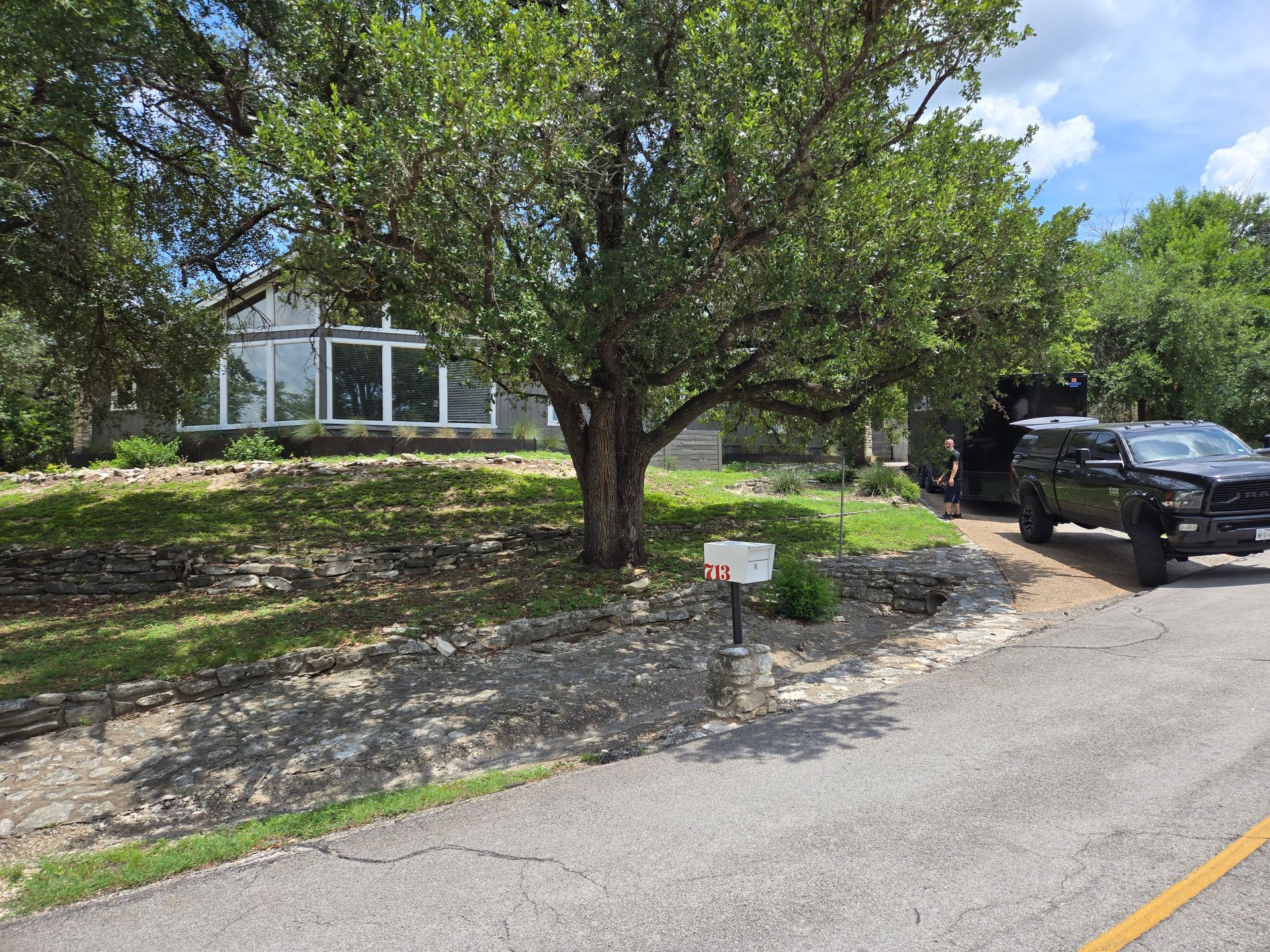 Tree in front yard with a parked black truck beside a road and a house in the background.
