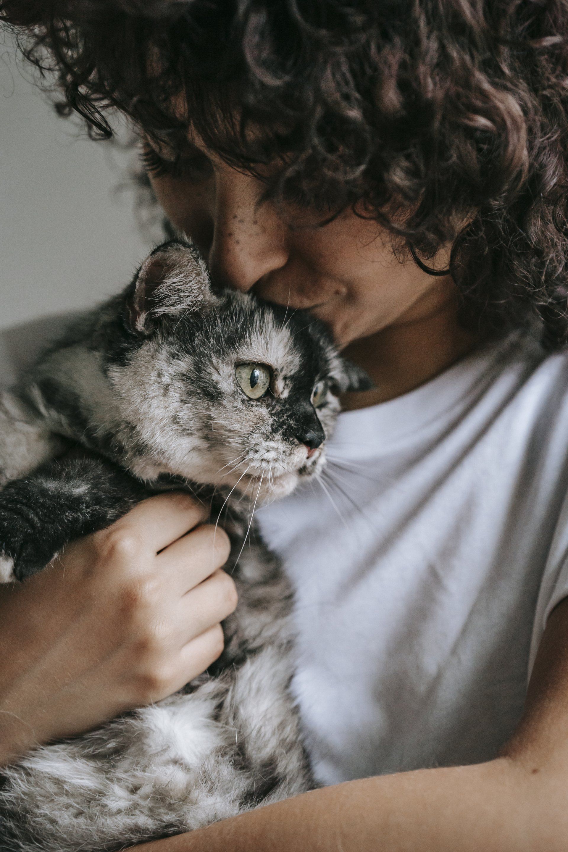 Woman holding a cat in her arms