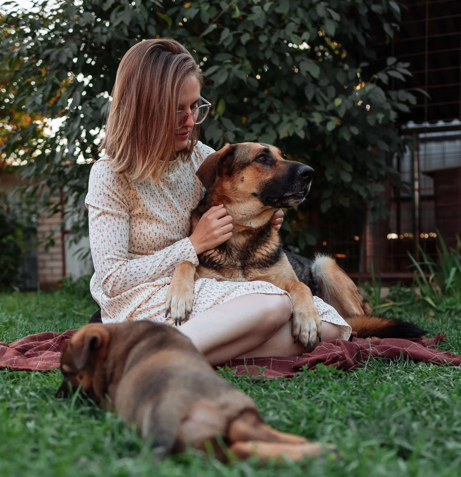 Woman with dog on her lap
