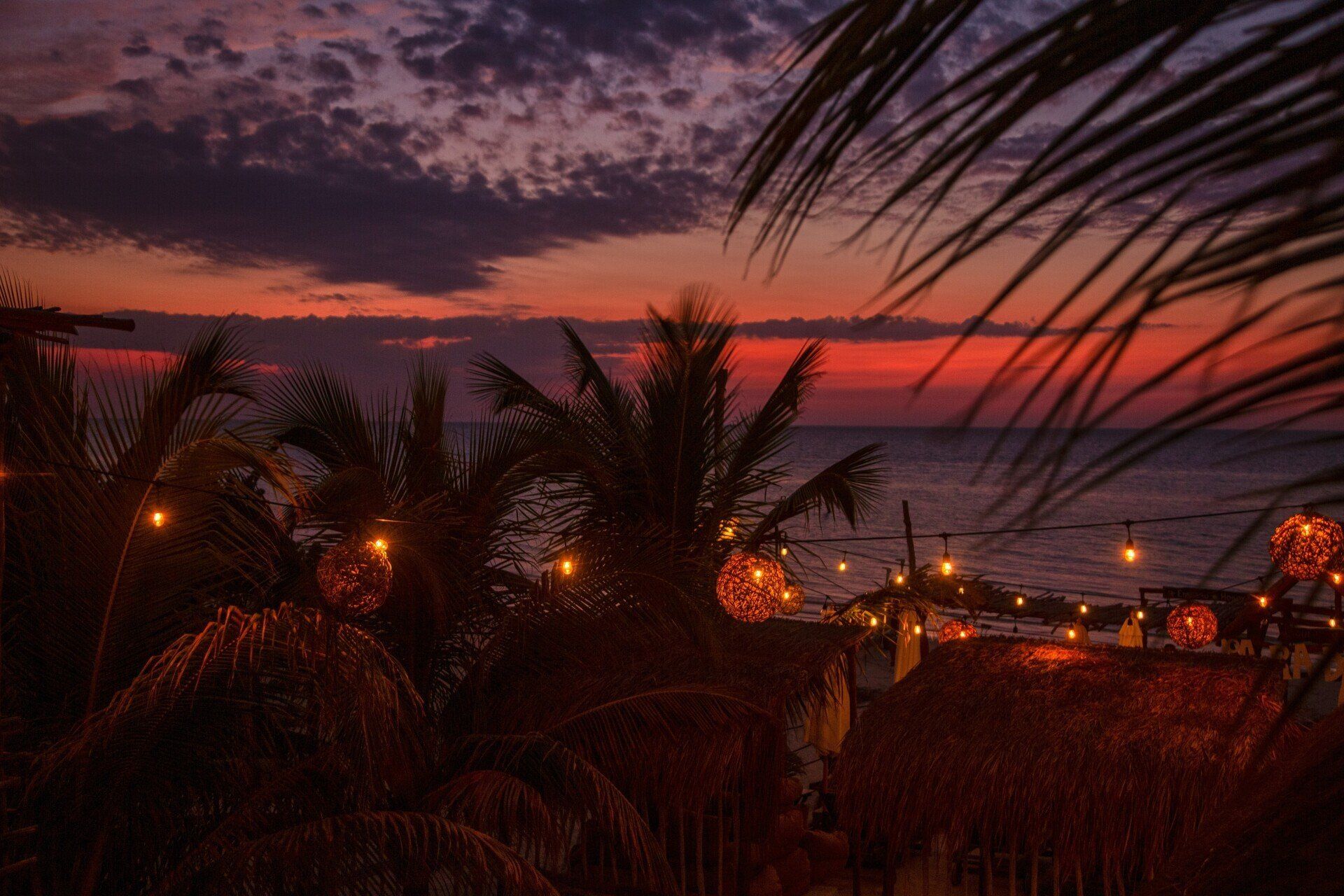 A sunset over the ocean with palm trees in the foreground