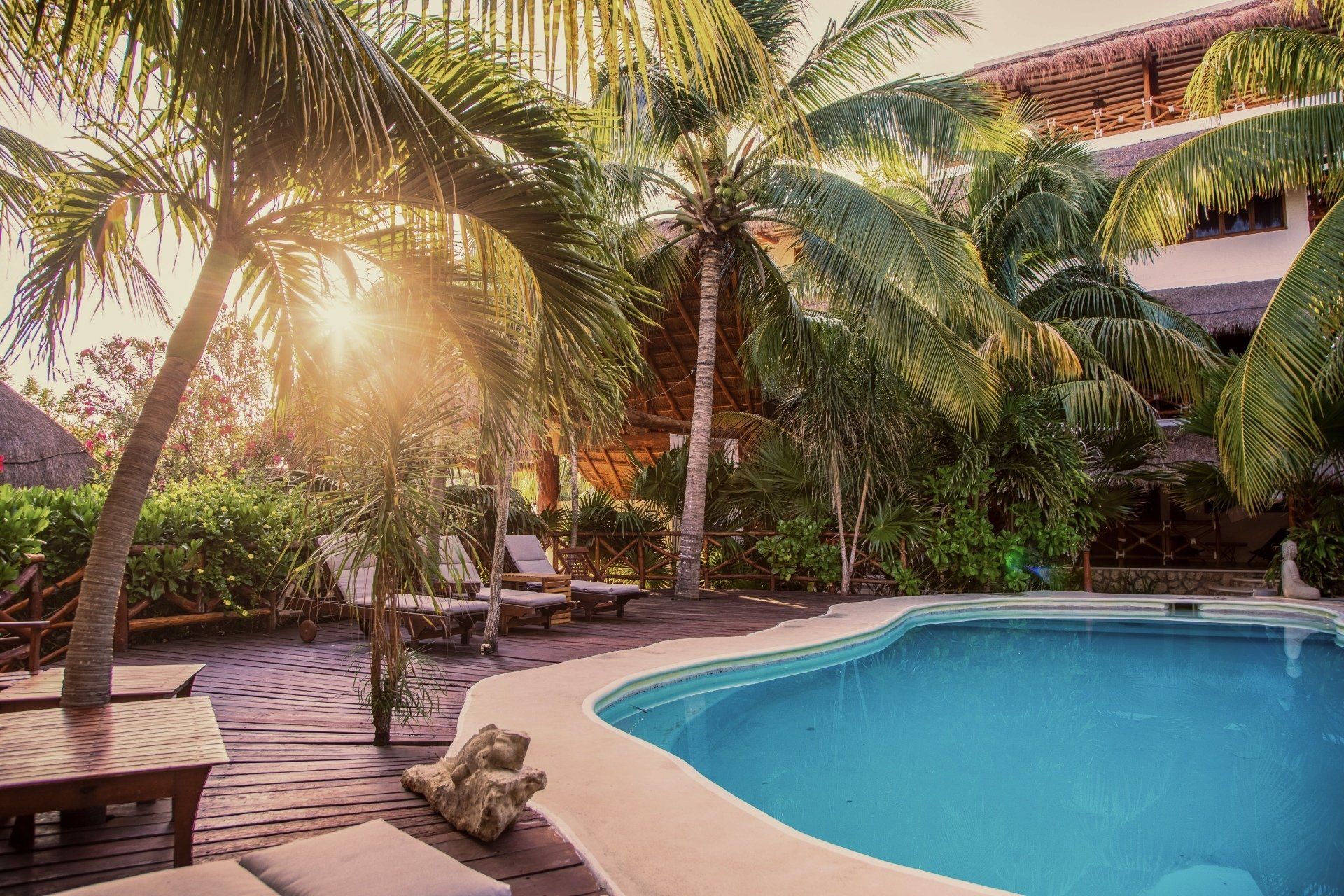 A large swimming pool surrounded by palm trees and chairs.