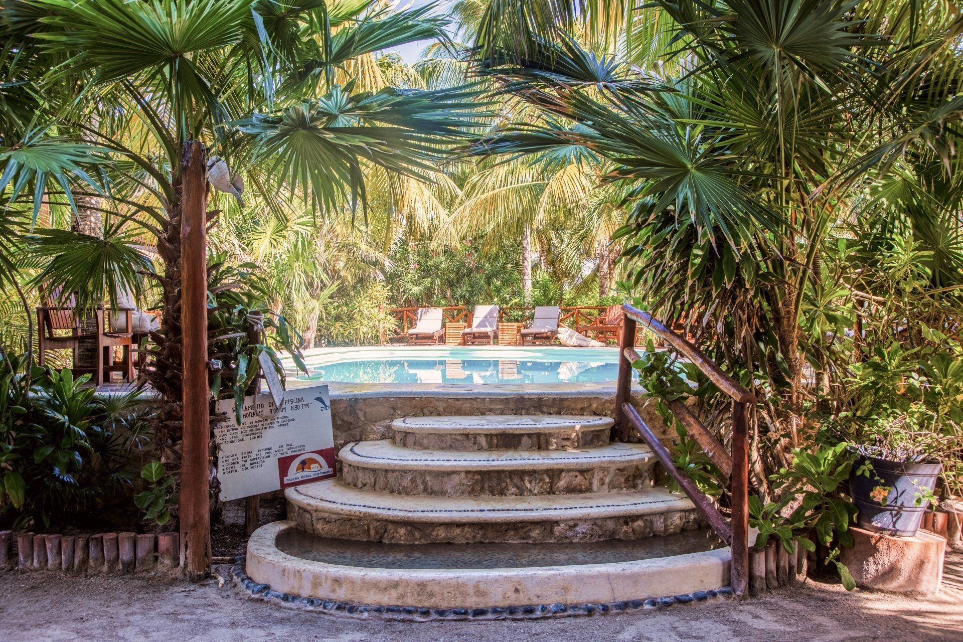There are stairs leading up to a swimming pool surrounded by palm trees.