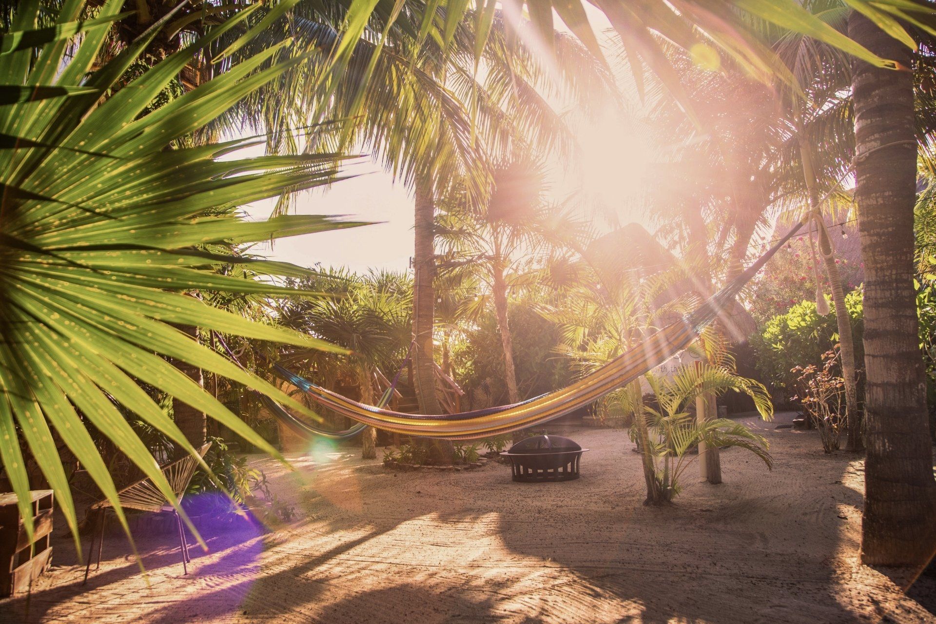 The sun is shining through the trees and a hammock is in the foreground.
