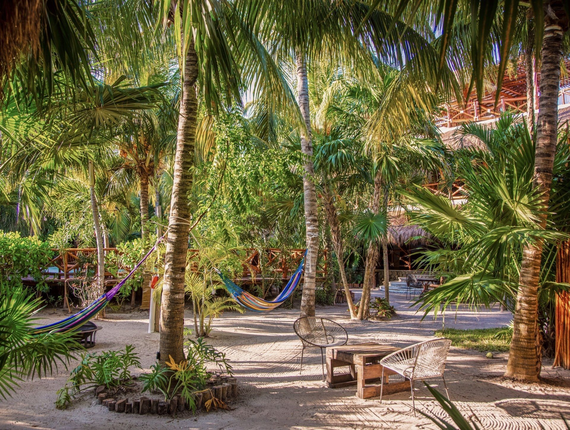 A hammock is sitting in the middle of a lush green forest.