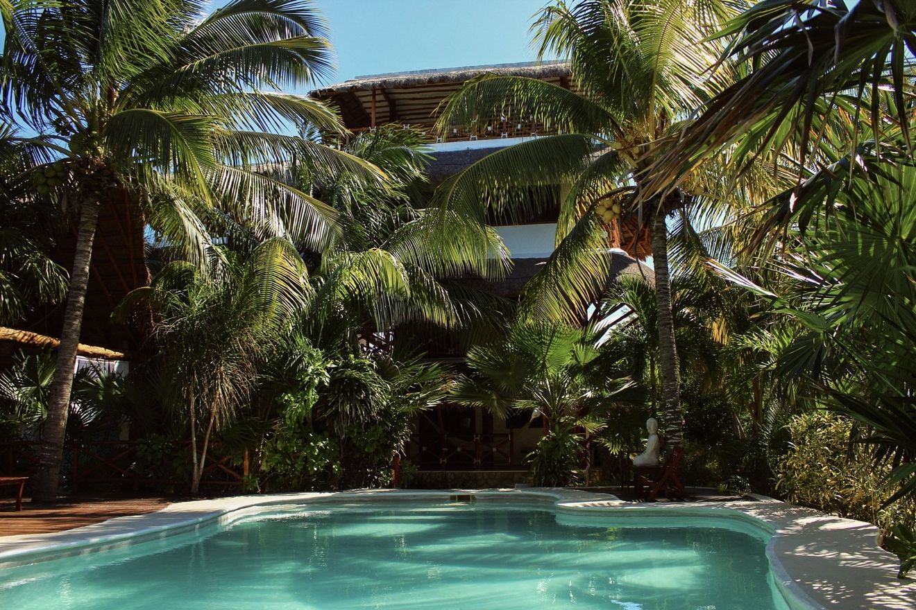 Una gran piscina está rodeada de palmeras.