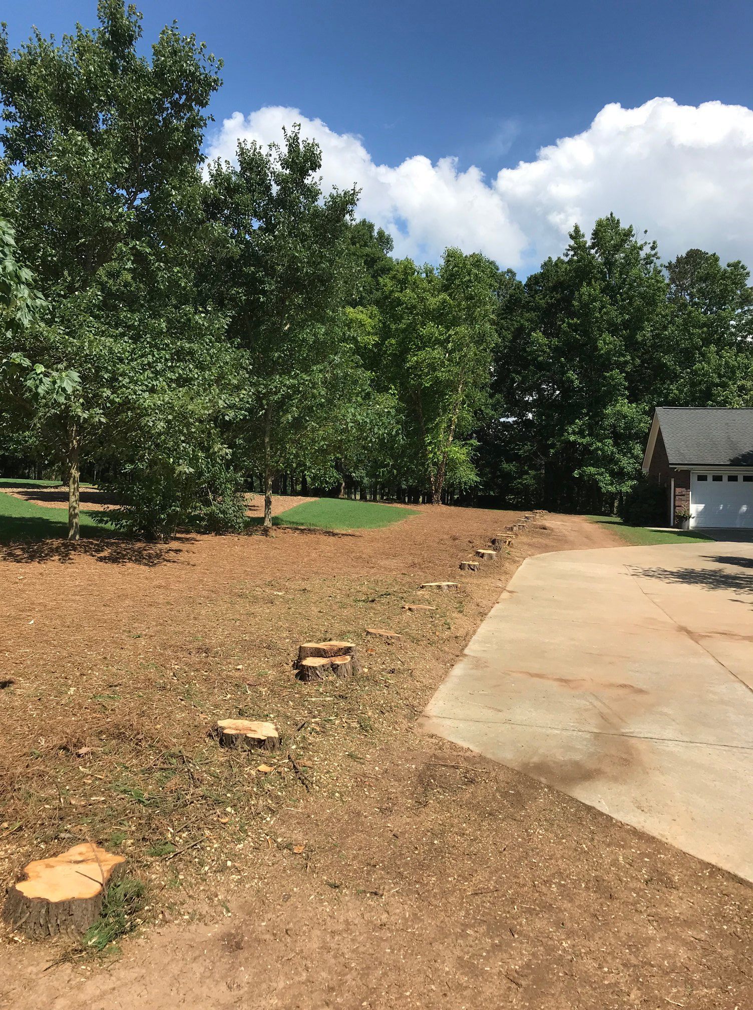 A driveway leading to a house with trees in the background