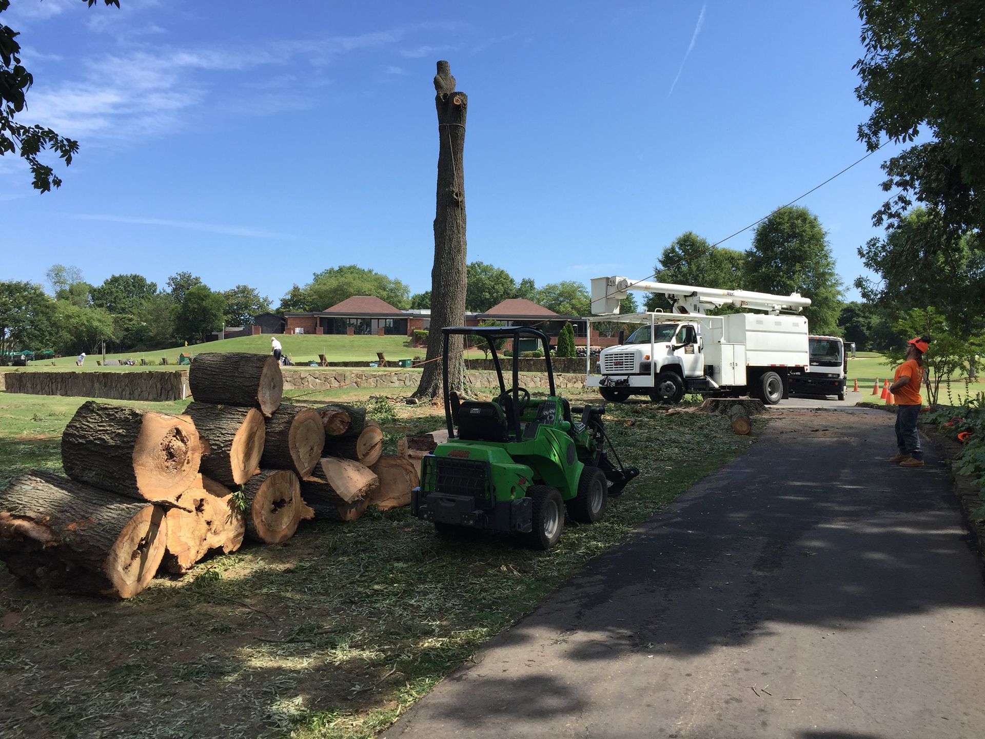 A green tractor is parked next to a pile of logs.