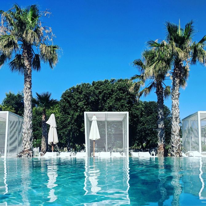 Palm-lined resort pool with white cabanas, loungers, and bright blue water under a clear sky