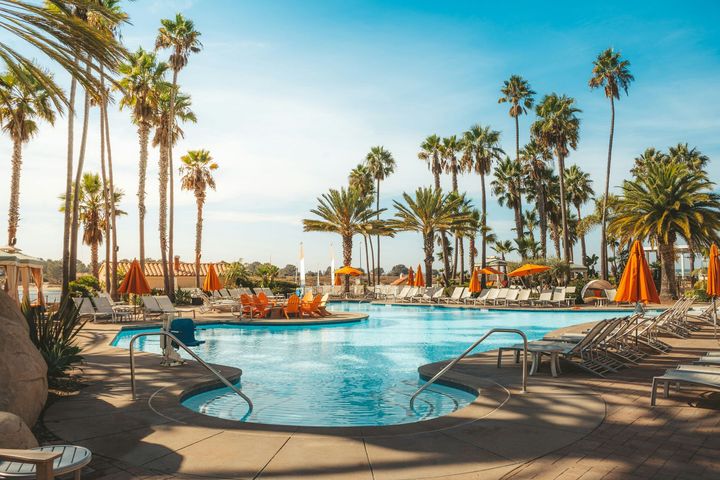 Palm-lined resort pool with lounge chairs, umbrellas, and blue water under a sunny sky
