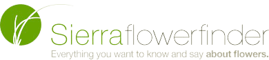 Sierra Flower Trading inc.
