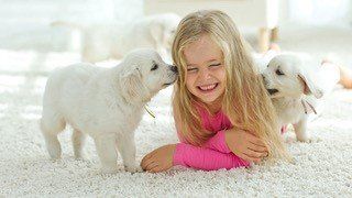 A little girl is laying on the floor with two puppies.